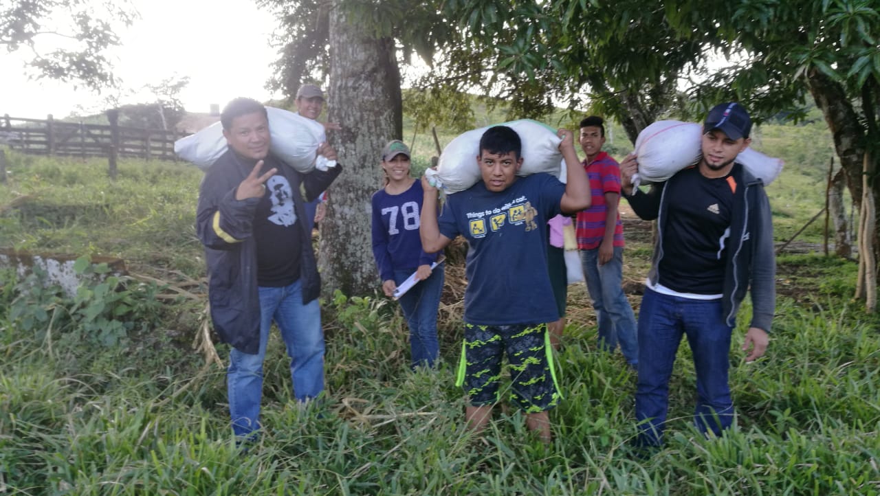 paquetes